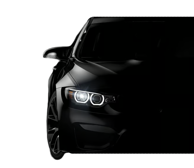 shutterstock 771184300 1 mep5vxlbbasq8jb9 1 1 e1717023228709